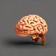 Brain