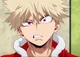 Katsuki Bakugou 