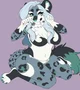 Nikita snow leopard