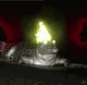 Flaming Gator 1