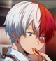 Todoroki