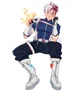 Shoto Todoroki 