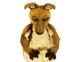 Kasey the Kangaroo 