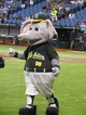 Stomper the Elephant