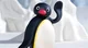 Pingu