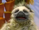 Lamont the Sloth