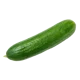 Cucumber