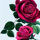 The Law of Attractio
