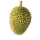 Durian