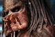 Predator Yautja