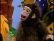 Trudy the Chimp