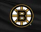 Boston Bruins