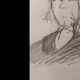 Felix