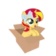 Filly Shimmy 
