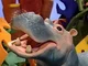 Phoenicia the Hippo
