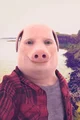 John Pork