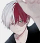Shoto Todoroki