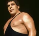 Andre the Giant