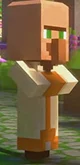 Villager Lgn
