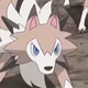 Midday Lycanroc