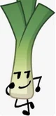Leek