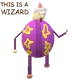 This is a wizard