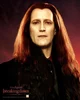 marcus volturi