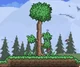 Terraria Tree