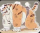 Sumo tiger