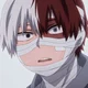 Shoto Todoroki