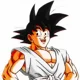Goku HT