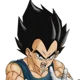 Vegeta IV