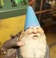 Blue gnome