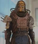 Raider -Fallout-