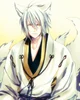 Zhao The Kitsune