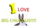 Big Chungus