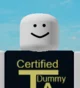 Combat dummy