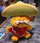 Mexican Garfield