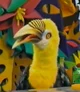 Hortense Hornbill