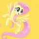 Fluttershy