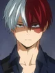 Shoto Todoroki 