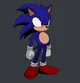 Faker Sonic
