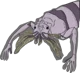 copepod