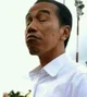 Pak Jokowi