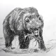 Kodiak bear