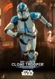 501st Clone trooper