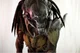 Predalien