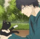 mabuchi kou