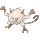 Mankey