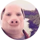 John Pork